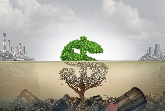 Financial Cost Of Polluted Environment